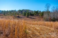 99999 226 Highway, Nebo, NC 28761, MLS # 4137374 - Photo #25