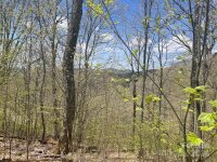 El Miner Drive # 516, Mars Hill, NC 28754, MLS # 4137578 - Photo #3