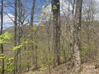 El Miner Drive # 516, Mars Hill, NC 28754, MLS # 4137578 - Photo #4