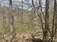 El Miner Drive # 516, Mars Hill, NC 28754, MLS # 4137578 - Photo #6