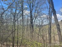 El Miner Drive # 516, Mars Hill, NC 28754, MLS # 4137578 - Photo #7