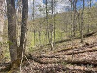 El Miner Drive # 516, Mars Hill, NC 28754, MLS # 4137578 - Photo #9