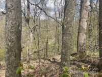 El Miner Drive # 516, Mars Hill, NC 28754, MLS # 4137578 - Photo #10