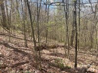 El Miner Drive # 516, Mars Hill, NC 28754, MLS # 4137578 - Photo #12