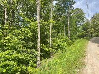 El Miner Drive # 577, Mars Hill, NC 28754, MLS # 4137585 - Photo #3