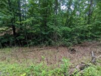 Jones Court # LOT 5, Lake Lure, NC 28746, MLS # 4141741 - Photo #5