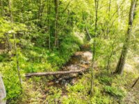 Vein Mountain Road, Nebo, NC 28761, MLS # 4143614 - Photo #29