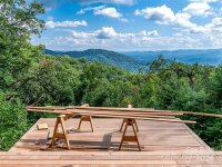 631 Elk Mountain Scenic Highway, Asheville, NC 28804, MLS # 4145572 - Photo #40