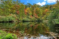 2517 Pine Cove Road, Old Fort, NC 28762, MLS # 4146014 - Photo #4