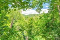 14 Old Chunns Cove Road, Asheville, NC 28805, MLS # 4150109 - Photo #39