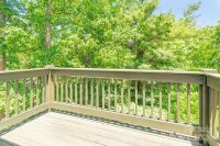 14 Old Chunns Cove Road, Asheville, NC 28805, MLS # 4150109 - Photo #16