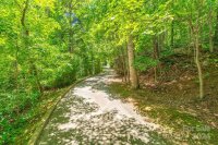 14 Old Chunns Cove Road, Asheville, NC 28805, MLS # 4150109 - Photo #44