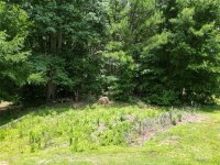 4207 HWY 109 None, Wadesboro, NC 28170, MLS # 4150452 - Photo #40