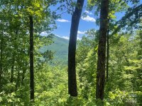 Big Boulder Ridge, Maggie Valley, NC 28751, MLS # 4150551 - Photo #3