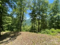 Big Boulder Ridge, Maggie Valley, NC 28751, MLS # 4150551 - Photo #5