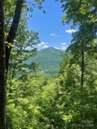 Big Boulder Ridge, Maggie Valley, NC 28751, MLS # 4150551 - Photo #13