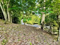 Big Boulder Ridge, Maggie Valley, NC 28751, MLS # 4150551 - Photo #16