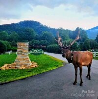 21 Kennerly Cove, Maggie Valley, NC 28751, MLS # 4150956 - Photo #4