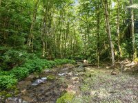 142 Running Bear Lane, Maggie Valley, NC 28751, MLS # 4151058 - Photo #38