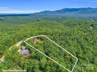 41 Deep Gap Farm Road, Mill Spring, NC 28756, MLS # 4151386 - Photo #4