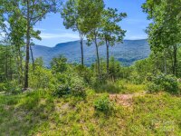 41 Deep Gap Farm Road, Mill Spring, NC 28756, MLS # 4151386 - Photo #5