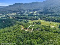 41 Deep Gap Farm Road, Mill Spring, NC 28756, MLS # 4151386 - Photo #6