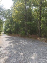 Brunson Road Unit 7, Fort Lawn, SC 28714, MLS # 4151463 - Photo #2