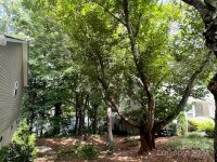 869 Sandburg Terrace, Hendersonville, NC 28791, MLS # 4152021 - Photo #18