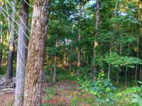 11610 Brief Road Unit 2, Charlotte, NC 28227, MLS # 4152286 - Photo #12