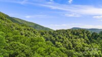 158 Sugar Cove Road, Weaverville, NC 28787, MLS # 4152521 - Photo #1