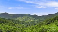 158 Sugar Cove Road, Weaverville, NC 28787, MLS # 4152521 - Photo #3