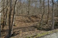 158 Sugar Cove Road, Weaverville, NC 28787, MLS # 4152521 - Photo #8