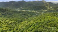 158 Sugar Cove Road, Weaverville, NC 28787, MLS # 4152521 - Photo #34