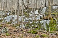 158 Sugar Cove Road, Weaverville, NC 28787, MLS # 4152521 - Photo #35