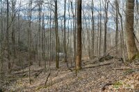 158 Sugar Cove Road, Weaverville, NC 28787, MLS # 4152521 - Photo #36