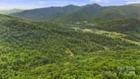 158 Sugar Cove Road, Weaverville, NC 28787, MLS # 4152521 - Photo #17