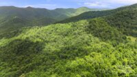 158 Sugar Cove Road, Weaverville, NC 28787, MLS # 4152521 - Photo #43