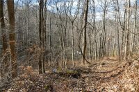 158 Sugar Cove Road, Weaverville, NC 28787, MLS # 4152521 - Photo #20