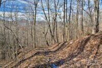 158 Sugar Cove Road, Weaverville, NC 28787, MLS # 4152521 - Photo #22