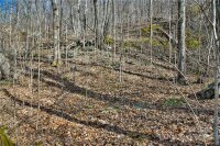 158 Sugar Cove Road, Weaverville, NC 28787, MLS # 4152521 - Photo #24