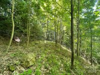 Oak Ridge Lane # 719, Mars Hill, NC 28754, MLS # 4152790 - Photo #4