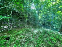 Oak Ridge Lane # 719, Mars Hill, NC 28754, MLS # 4152790 - Photo #5