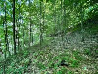 Oak Ridge Lane # 719, Mars Hill, NC 28754, MLS # 4152790 - Photo #6