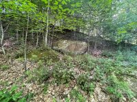 Oak Ridge Lane # 719, Mars Hill, NC 28754, MLS # 4152790 - Photo #7