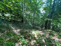 Oak Ridge Lane # 719, Mars Hill, NC 28754, MLS # 4152790 - Photo #8