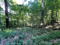 Oak Ridge Lane # 719, Mars Hill, NC 28754, MLS # 4152790 - Photo #9