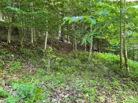 English Ridge Drive # 52, Mars Hill, NC 28754, MLS # 4152801 - Photo #2