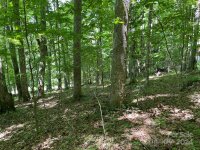 English Ridge Drive # 52, Mars Hill, NC 28754, MLS # 4152801 - Photo #4