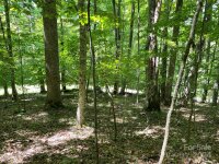 English Ridge Drive # 52, Mars Hill, NC 28754, MLS # 4152801 - Photo #7