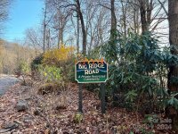 Big Ridge Road # 104, Burnsville, NC 28714, MLS # 4153326 - Photo #3